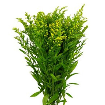 Imagen de Flores Variadas Sigo (Unidad)